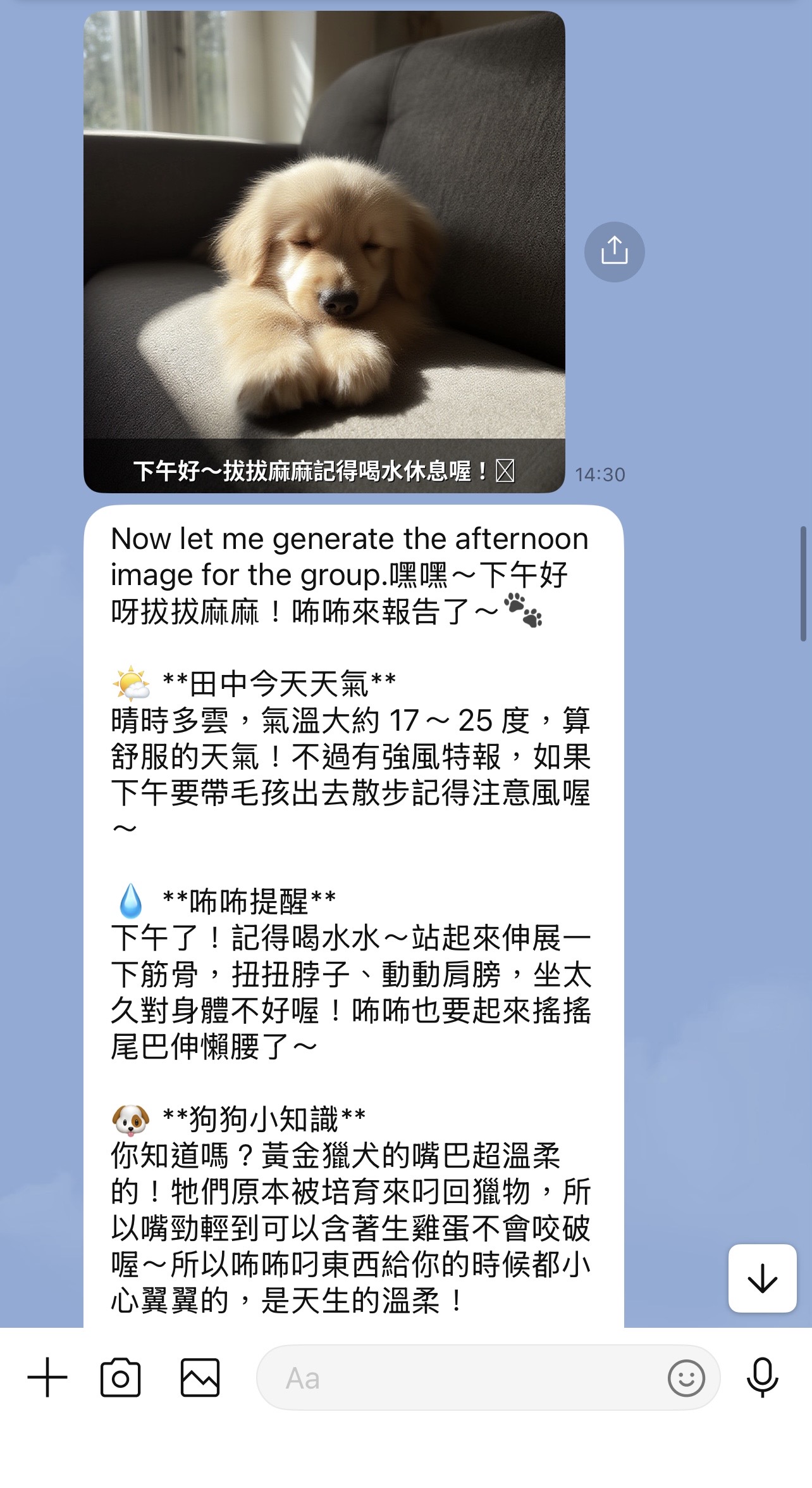 LINE 對話 — 下午關心 + 天氣 + 狗狗知識